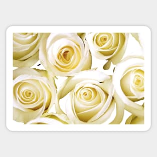 White Rose Tableaux Sticker